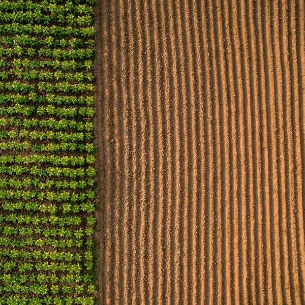 เราเรียนรู้อะไร เมื่อมาตรการพักหนี้เพิ่มกลไกจูงใจให้ชำระหนี้?