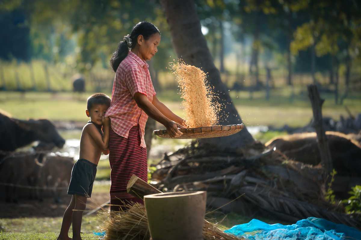 การพัฒนาเด็กปฐมวัยด้วยการพัฒนาการอบรมเลี้ยงดูของผู้ปกครอง (parenting): บทเรียนจากการทดลองสุ่มแบบมีกลุ่มควบคุม (RCT)