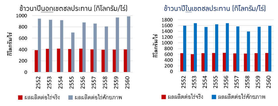 ผลผลิตต่อไร่จริงและผลผลิตต่อไร่ตามศักยภาพของข้าวนาปีนอกและในเขตชลประทานของไทย