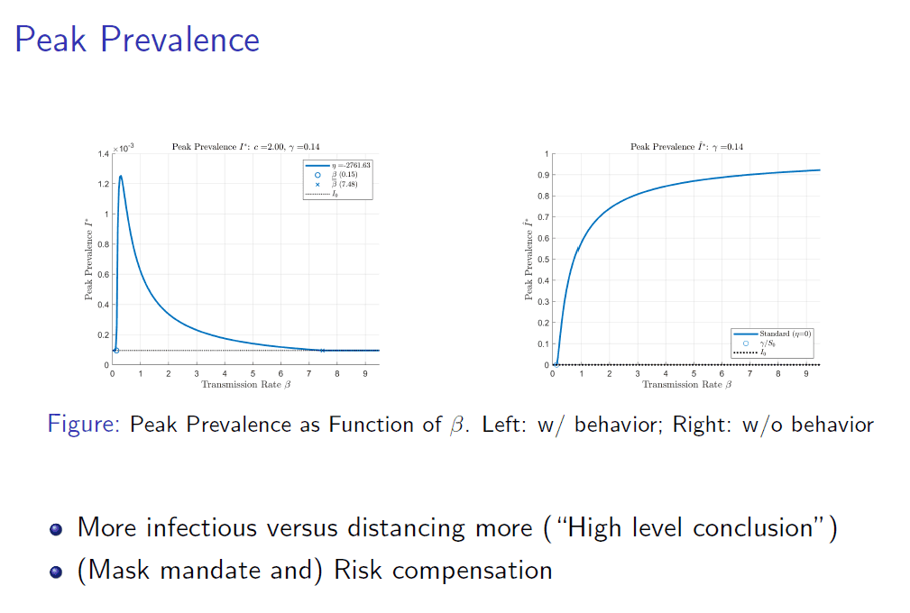 Epidemics with Behavior