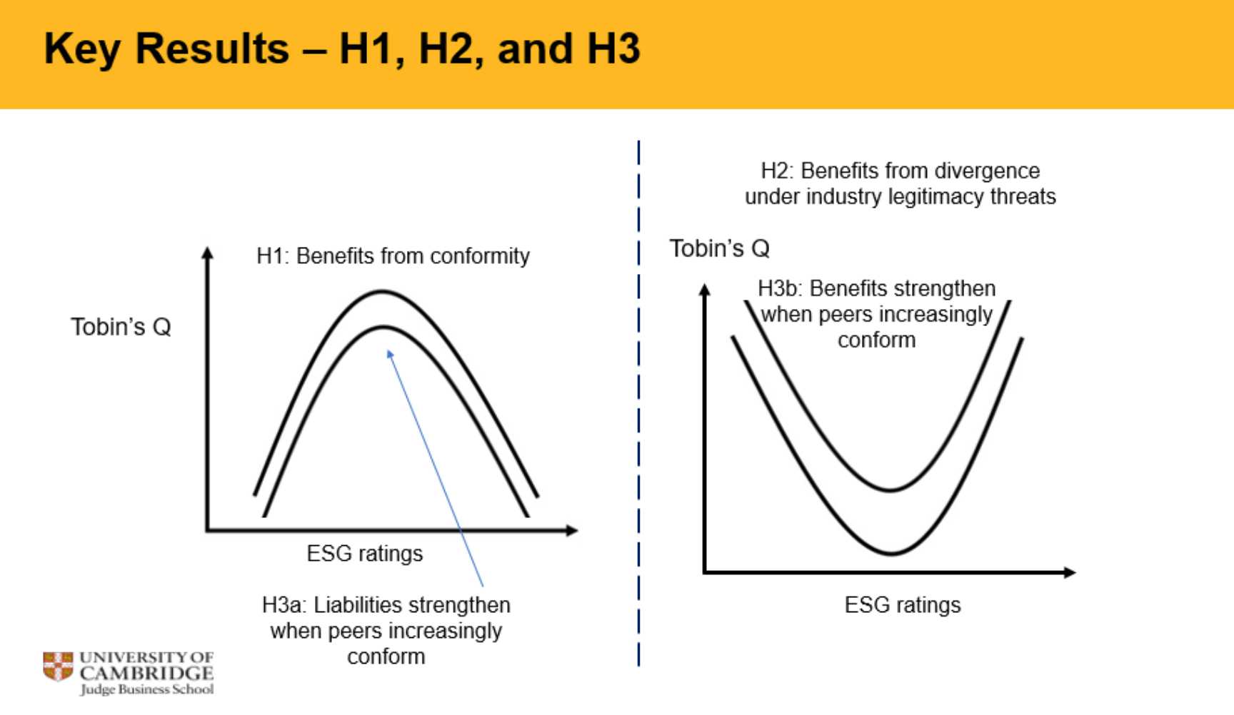 Falling Out of Frame: When Firms Benefit from Divergent ESG Ratings