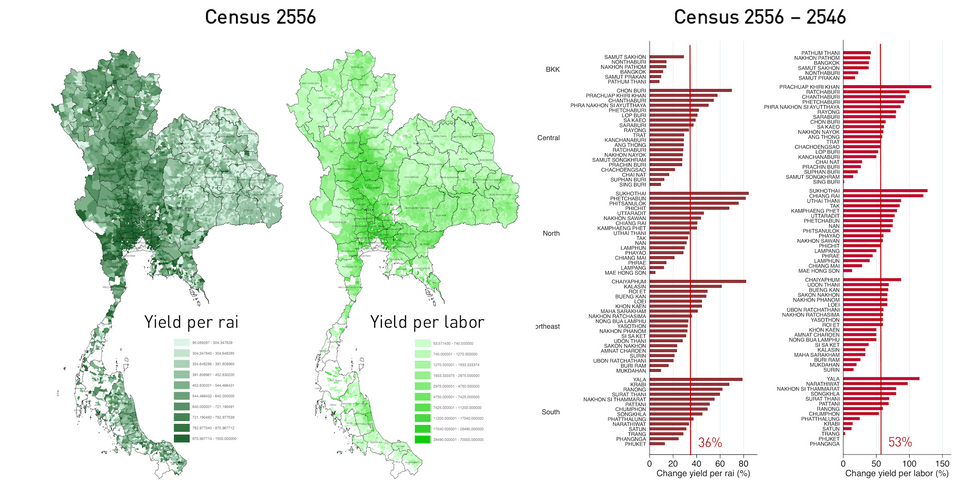 ผลผลิตต่อไร่ และผลผลิตต่อแรงงานของข้าวเจ้านาปี