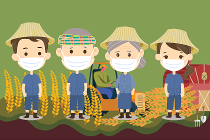 ครัวเรือนเกษตรไทยในวิกฤติโควิด-19