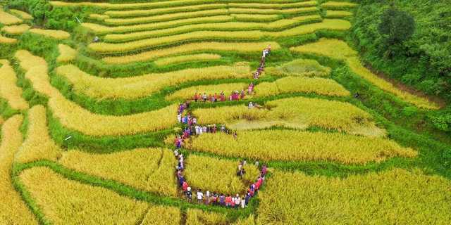 พระบาทสมเด็จพระเจ้าอยู่หัวรัชกาลที่ ๙ กับเศรษฐศาสตร์