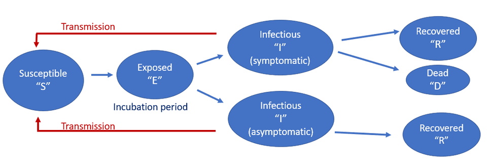 แบบจำลอง SEIRD (Susceptible-Exposed-Infected-Recovered-Dead)