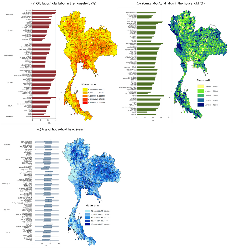สัดส่วนแรงงานสูงวัยและแรงงานอายุน้อยในครัวเรือน และอายุของหัวหน้าครัวเรือน รายตำบลและรายจังหวัด