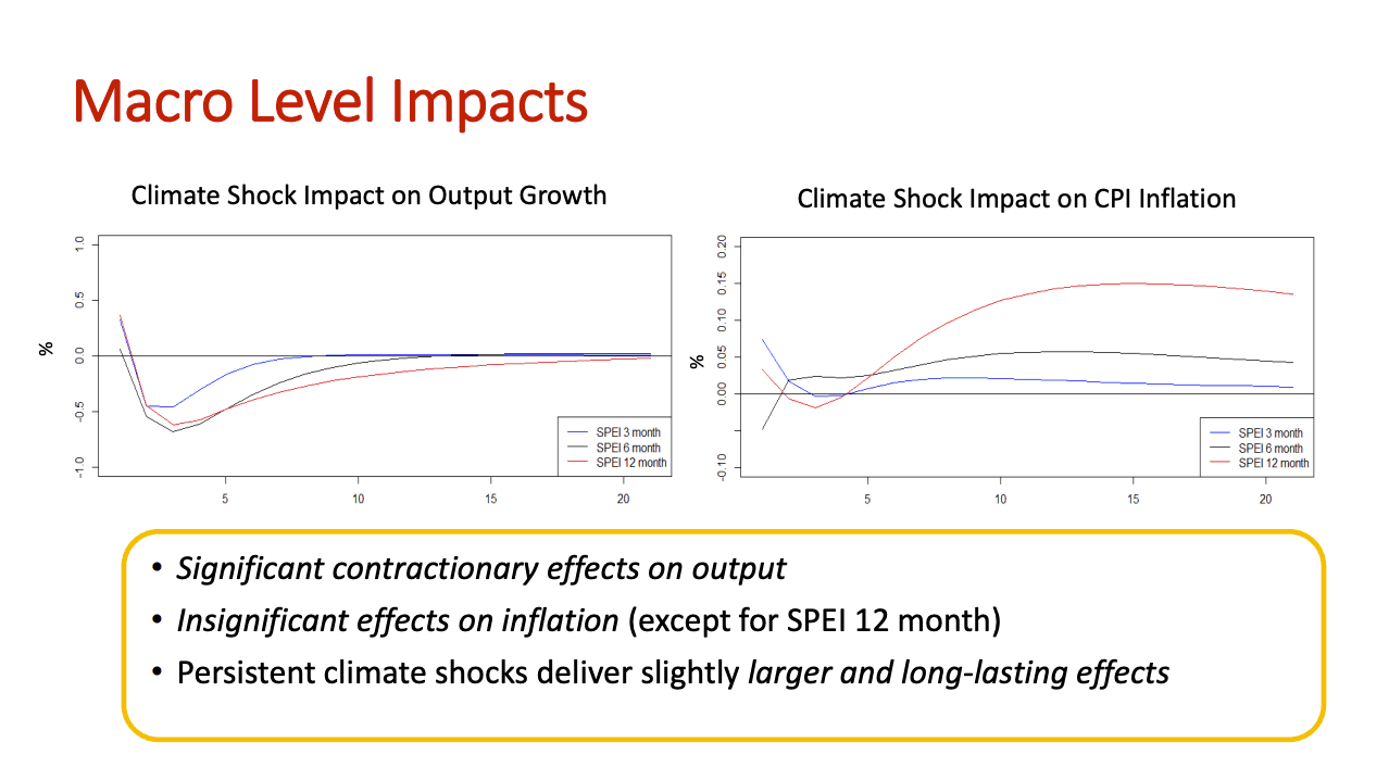 The Macroeconomic Effects of Climate Shocks in Thailand