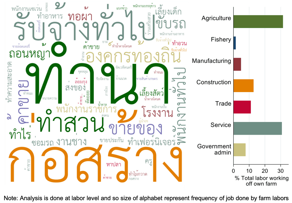 งานและภาคเศรษฐกิจที่แรงงานในครัวเรือนเกษตรทำงานอยู่