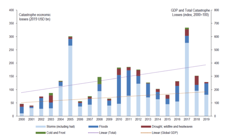 ความสูญเสียทางเศรษฐกิจ (economic losses) จากเหตุการณ์สภาพอากาศสุดขั้วที่เกิดขึ้นทั่วโลก